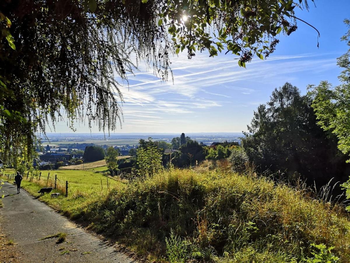 Haus Am Roesberg Διαμέρισμα Bornheim  Εξωτερικό φωτογραφία